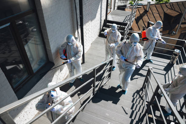 Best Air Quality Testing for Mold Spores  in Fairfield University, CT