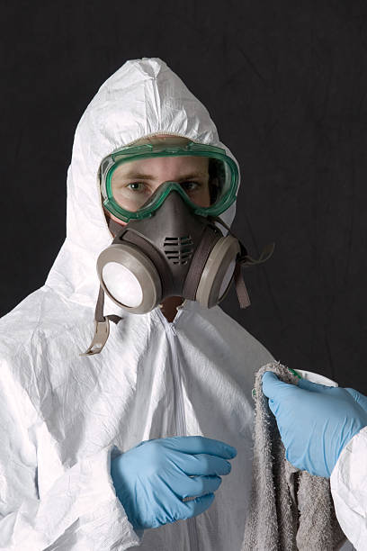 Reliable Fairfield University, CT Mold Removal Solutions